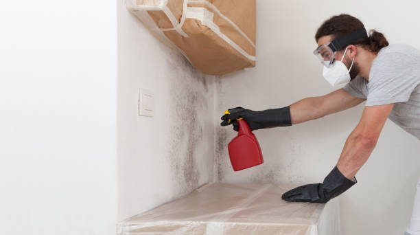 Professional Basement Mold Remediation technician working in Libertyville, IL