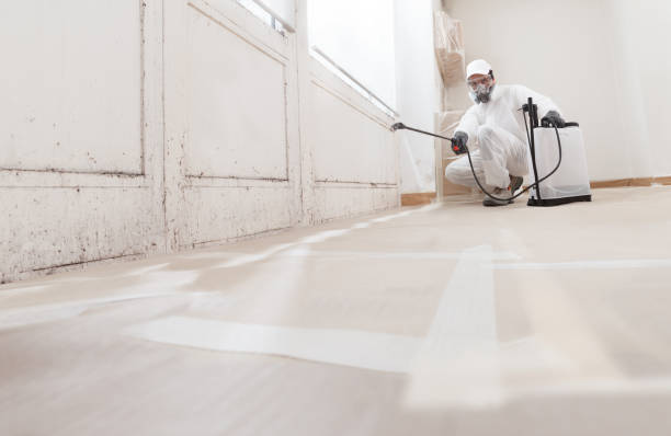 24/7 Emergency Basement Mold Remediation experts in Libertyville, IL
