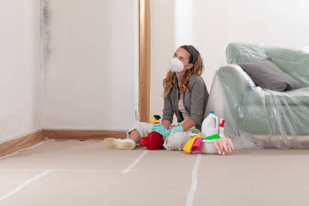 Reliable Mold Remediation contractor in Libertyville, IL by Cheap Mold Removal